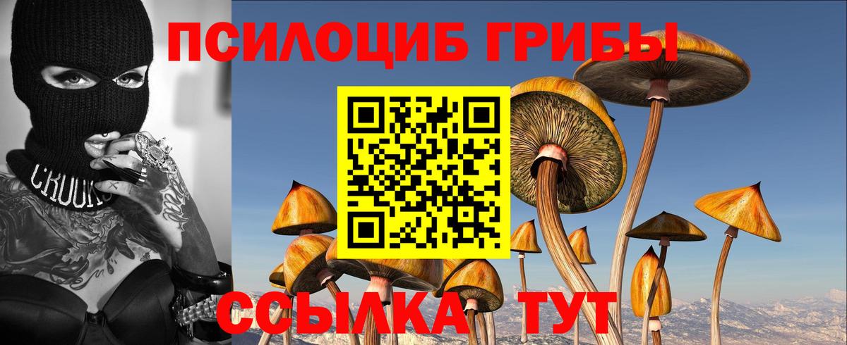 Кумертау  Псилоцибиновые грибы Psilocybine cubensis  хочу наркоту  Псилоцибиновые грибы мицелий  Вход с VPN 